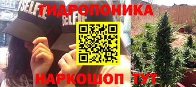 spice Кизилюрт