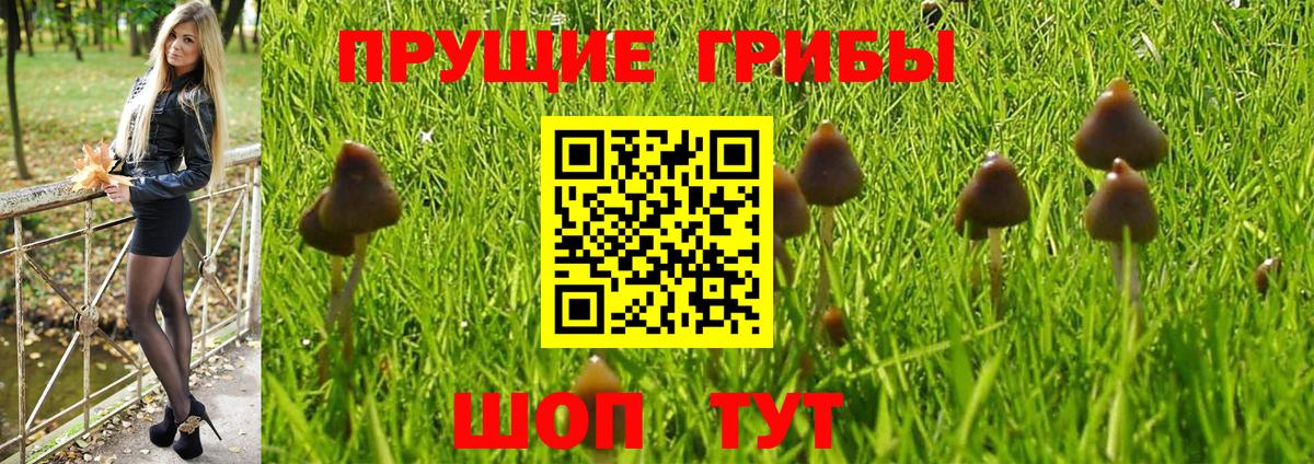 Южно-Сахалинск  Галлюциногенные грибы Cubensis  Вход с VPN 