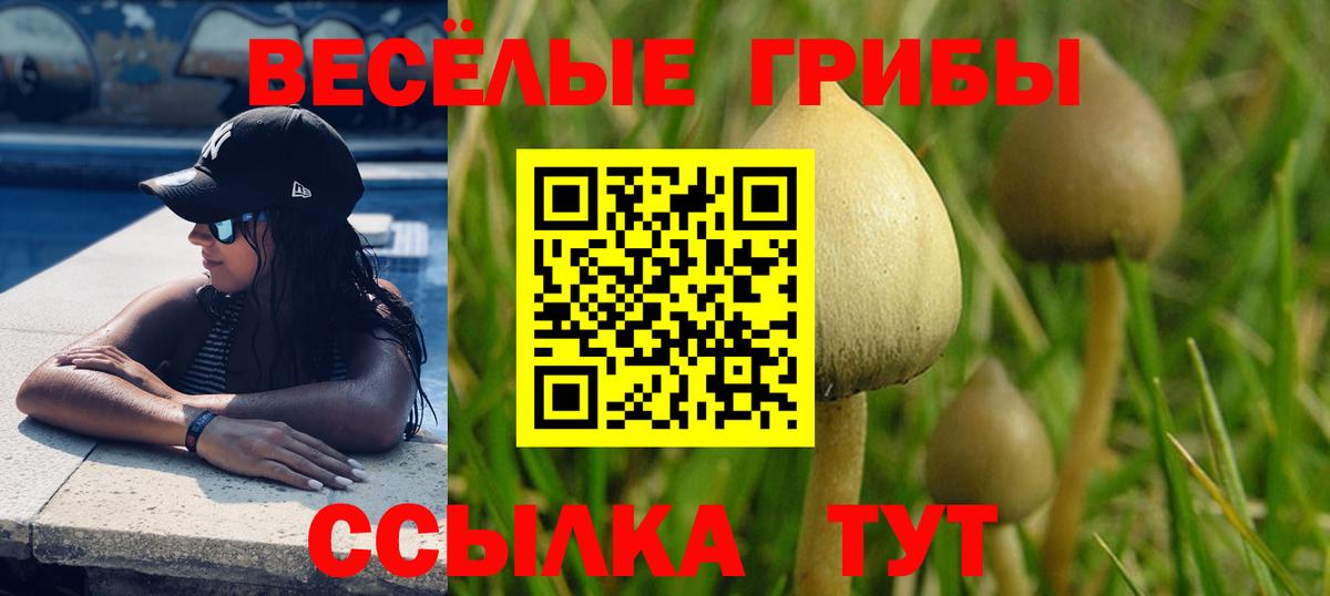 Галлюциногенные грибы мицелий Южно-Сахалинск